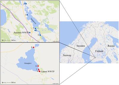 Scenario-based assessment of fecal pathogen sources affecting bathing water quality: novel treatment options to reduce norovirus and Campylobacter infection risks